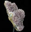 Tall Amethyst Cluster From Uruguay - Custom Metal Stand #76820-3